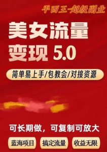 TK美女短视频变现项目无限复制（升级版），全网最高性价比项目【揭秘】-副业资源站