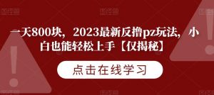 一天800块,2023最新反撸pz玩法,小白也能轻松上手【仅揭秘】-副业资源站