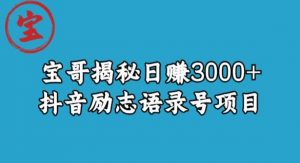 宝哥揭秘日赚3000+抖音励志语录号短视频变现项目-副业资源站