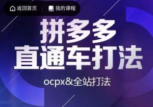 互力·拼多多直通车打法，ocpx&全站打法-副业资源站