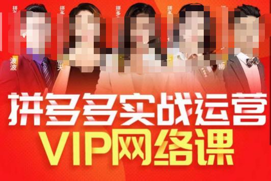 推易拼多多VIP全套直播课程，拼多多店铺实操玩法+实战玩法选款内功+直通车高阶等-副业资源站