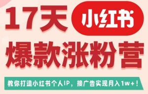 17天小红书爆款涨粉营(广告变现方向),教你打造小红书博主IP、接广告变现的-副业资源站