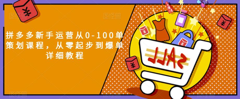 拼多多新手运营从0-100单策划课程，从零起步到爆单详细教程-副业资源站