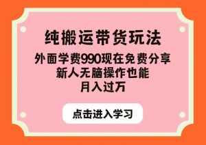 纯搬运带货玩法，外面学费990现在免费分享，新人无脑操作也能月入过万【揭秘】-副业资源站