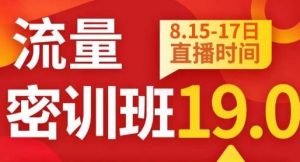 秋秋线上流量密训班19.0,打通流量关卡,线上也能实战流量破局-副业资源站