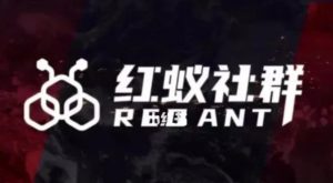 社群运营:红蚁社群【48节落地系统课程+2000人高端社群】-副业资源站