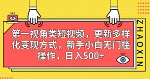 第一视角类短视频，更新多样化变现方式，新手小白无门槛操作，日入500+【揭秘】-副业资源站
