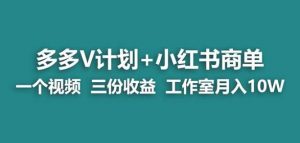 【蓝海项目】多多v计划+小红书商单一个视频三份收益工作室月入10w-副业资源站