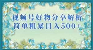 视频号好物分享解析，简单粗暴可以批量方大的项目【揭秘】-副业资源站