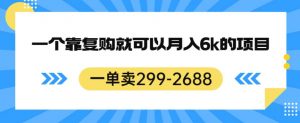 一单卖299-2688,一个靠复购就可以月入6k的暴利项目【揭秘】-副业资源站
