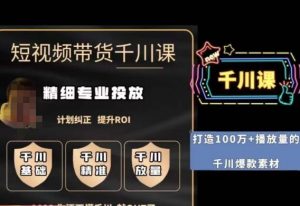 短视频带货-千川专业投放课,精细化专业投放,计划纠正,提升ROI-副业资源站