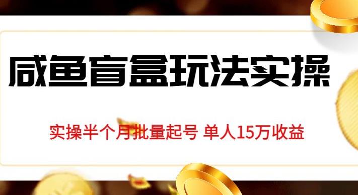 独家首发咸鱼盲盒玩法实操，半个月批量起号单人15万收益【揭秘】-副业资源站