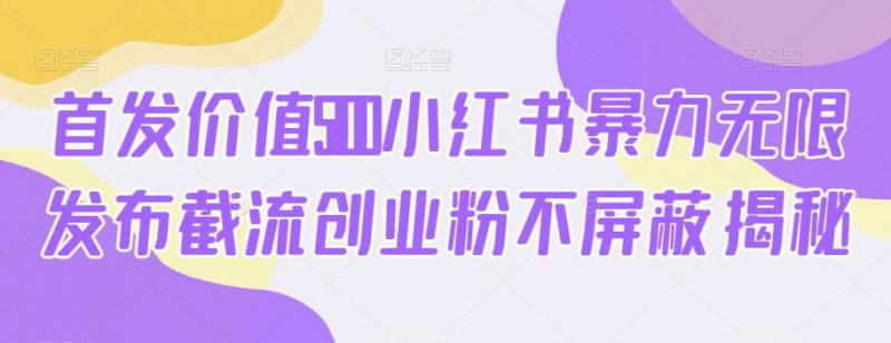 首发价值5100小红书暴力无限发布截流创业粉不屏蔽揭秘-副业资源站