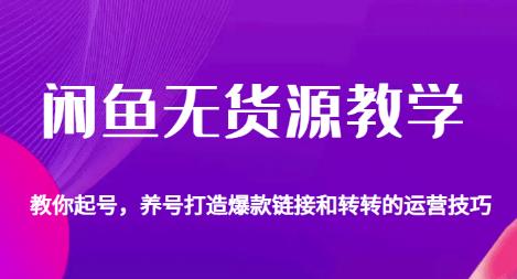 闲鱼无货源教学，教你起号，养号打造爆款链接以及转转的运营技巧-副业资源站