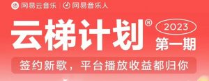 2023年8月份网易云最新独家挂机技术,真正实现挂机月入5000【揭秘】-副业资源站