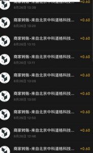 接码无限撸红包一分钟0.6无脑操作一天保底利润200-副业资源站