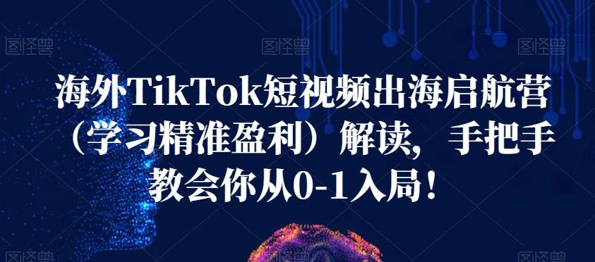 海外TikTok短视频出海启航营（学习精准盈利）解读，手把手教会你从0-1入局！-副业资源站