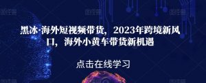 黑冰·海外短视频带货，2023年跨境新风口，海外小黄车带货新机遇-副业资源站