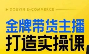 金牌带货主播打造实操课，直播间小公主丹丹老师告诉你，百万主播不可追，高效复制是王道！-副业资源站