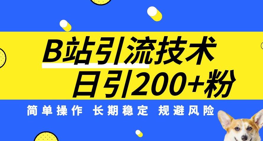 B站引流技术：每天引流200精准粉，简单操作，长期稳定，规避风险-副业资源站