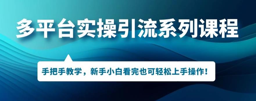 多平台引流实操系列课程，新手小白看完也可轻松上手进行引流操作-副业资源站