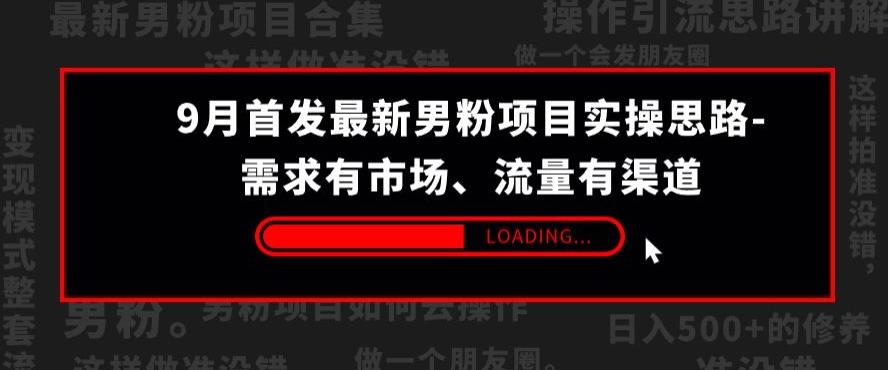 9月首发最新男粉项目实操思路-需求有市场，流量有渠道【揭秘】-副业资源站