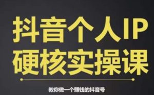个人IP创富系统实战课，商业定位，流量打造，短视频变现，教你做个赚钱的抖音号-副业资源站