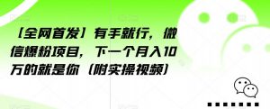 【全网首发】有手就行,微信爆粉项目,下一个月入10万的就是你(附实操视频)【揭秘】-副业资源站