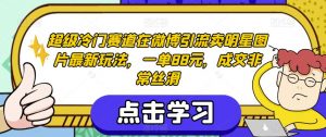 超级冷门赛道在微博引流卖明星图片最新玩法，一单88元，成交非常丝滑【揭秘】-副业资源站