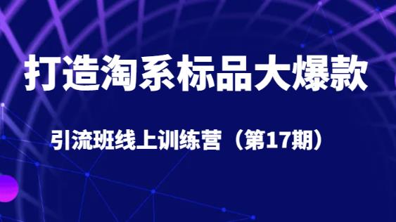 打造淘系标品大爆款引流班线上训练营（第17期）5天直播授课-副业资源站