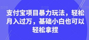支付宝项目暴力玩法，轻松月入过万，基础小白也可以轻松拿捏【揭秘】-副业资源站