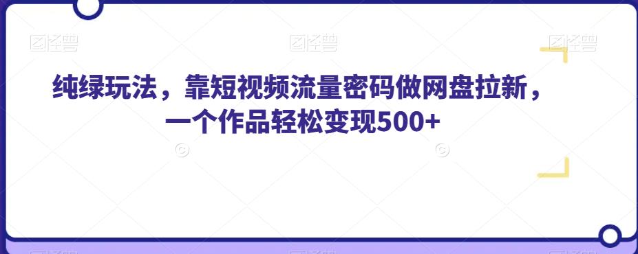 纯绿玩法，靠短视频流量密码做网盘拉新，一个作品轻松变现500+【揭秘】-副业资源站