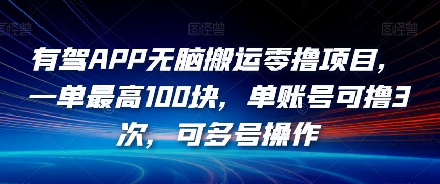 有驾APP无脑搬运零撸项目，一单最高100块，单账号可撸3次，可多号操作【揭秘】-副业资源站