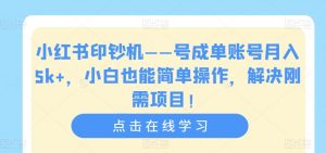 小红书印钞机——号成单账号月入5k+，小白也能简单操作，解决刚需项目【揭秘】-副业资源站