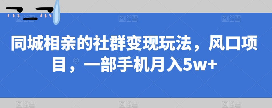 同城相亲的社群变现玩法，风口项目，一部手机月入5w+【揭秘】-副业资源站