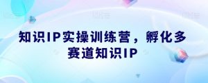 知识IP实操训练营,孵化多赛道知识IP-副业资源站