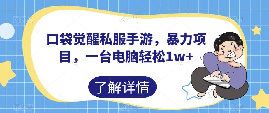 口袋觉醒私服手游，暴力项目，一台电脑轻松1w+【揭秘】-副业资源站