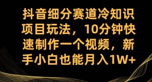 抖音细分赛道冷知识项目玩法，10分钟快速制作一个视频，新手小白也能月入1W+【揭秘】-副业资源站