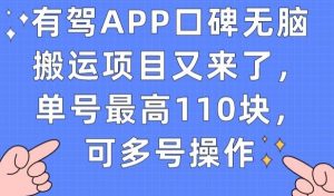 有驾APP口碑无脑搬运项目又来了，单号最高110块，可多号操作-副业资源站