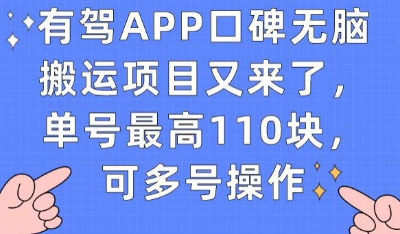 有驾APP口碑无脑搬运项目又来了，单号最高110块，可多号操作-副业资源站