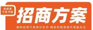 王昕招商方案，解构招商方案意识形态，精准把握渠道代理基本法-副业资源站