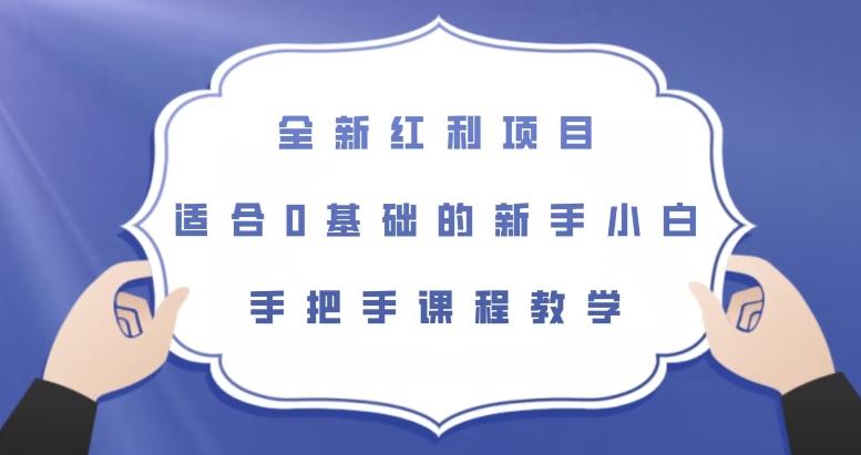 全新红利项目，适合0基础的新手小白，手把手课程教学【揭秘】-副业资源站