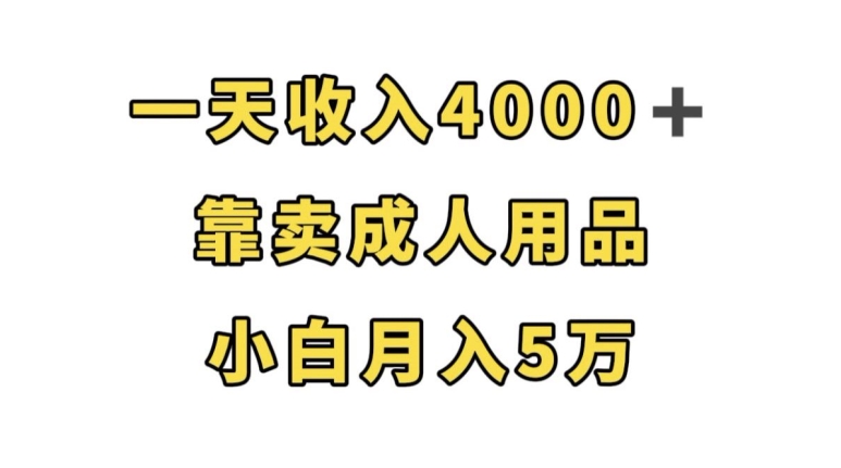 一天收入4000+，靠卖成人用品，小白轻松月入5万【揭秘】-副业资源站