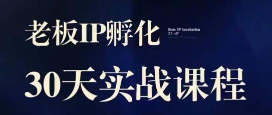 诸葛·2023老板IP实战课，实体同城引流获客，IP孵化必听-副业资源站