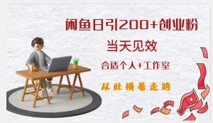 闲鱼精准引流创业粉,日引200+,当天见效,从此横着走-副业资源站