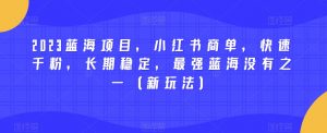 2023蓝海项目，小红书商单，快速千粉，长期稳定，最强蓝海没有之一（新玩法）-副业资源站