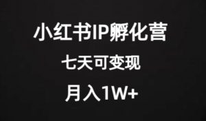 价值2000+的小红书IP孵化营项目，超级大蓝海，七天即可开始变现，稳定月入1W+-副业资源站