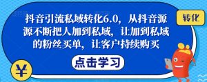 抖音引流私域转化6.0,从抖音源源不断把人加到私域,让加到私域的粉丝买单,让客户持续购买-副业资源站