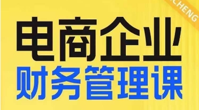 电商企业财务管理线上课，为电商企业规划财税-副业资源站