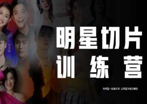 王子·明星切片线上训练营(2023),和明星一起拿红利,让明星为我们赚钱-副业资源站